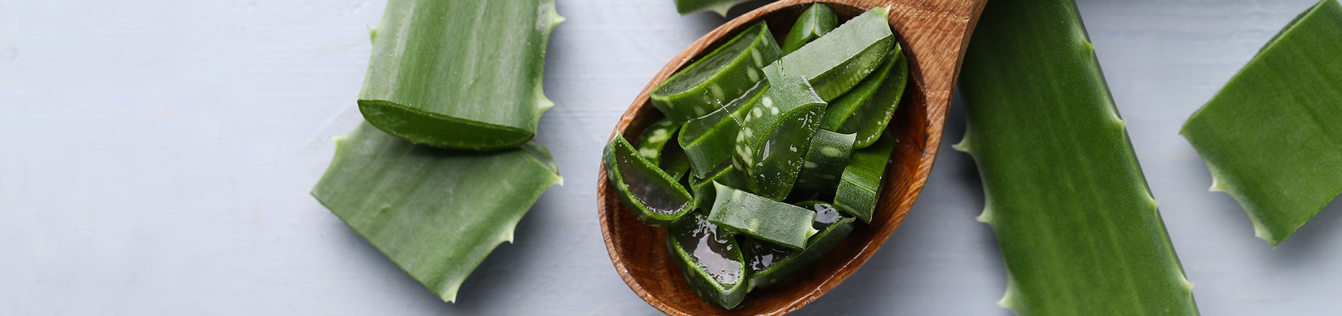 31 Benefits of Aloevera