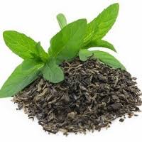 Green tea extract