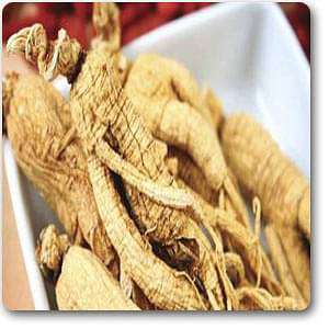 Korean Ginseng