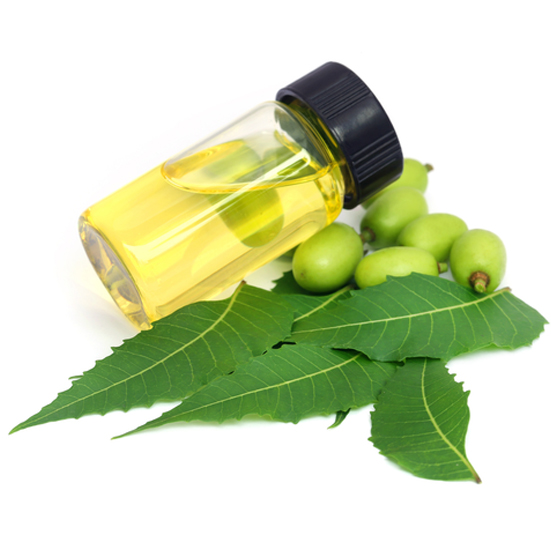 Neem Oil