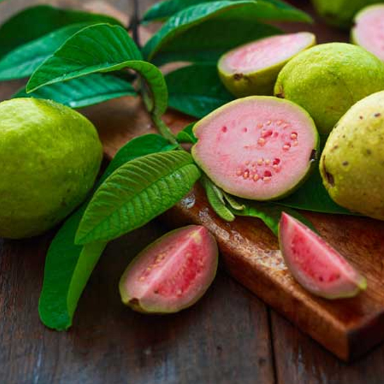 Guava