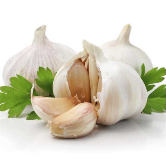 Garlic