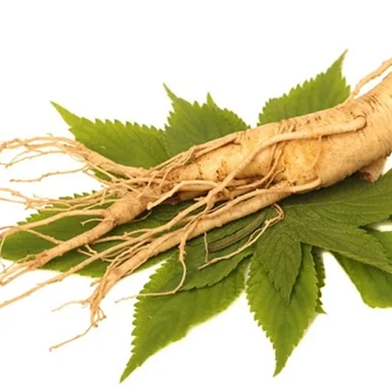 Ginseng