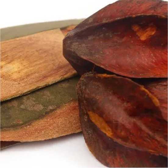 Arjun chaal