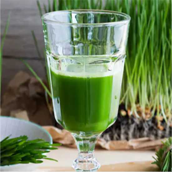 Wheatgrass