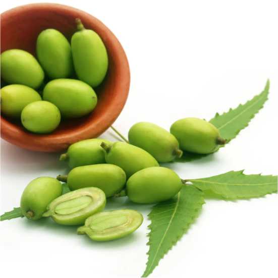 Neem Extract