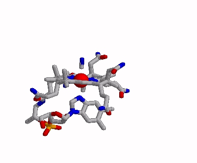 VITAMIN B12