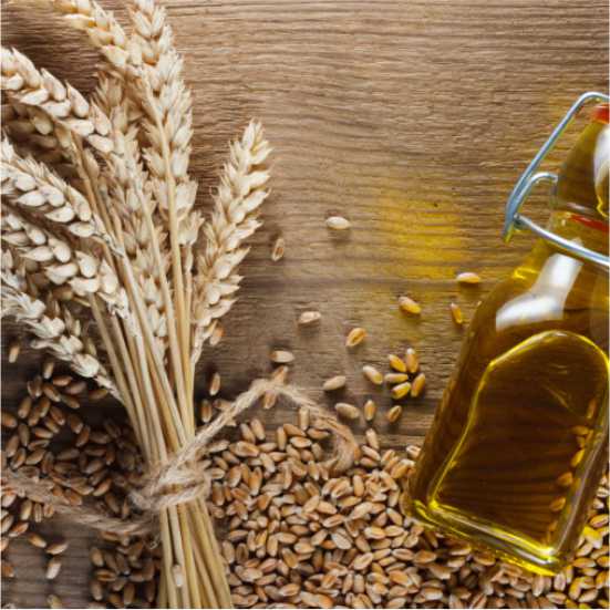 Wheat germ oil